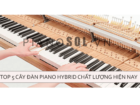 TOP 5 CÂY PIANO HYBRID CHẤT LƯỢNG HIỆN NAY