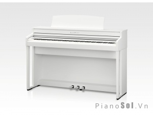 KAWAI CA4900GP