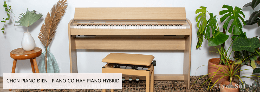Nên chọn piano điện - piano cơ hay piano hybrid