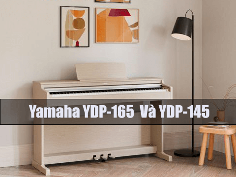 REVIEW PIANO YAMAHA YDP-165 VÀ YDP-145