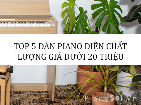 TOP 5 ĐÀN PIANO ĐIỆN CHẤT LƯỢNG GIÁ DƯỚI 20 TRIỆU ĐỒNG