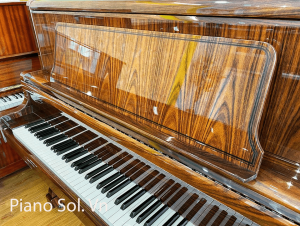 KAWAI BL-82 Màu Gỗ