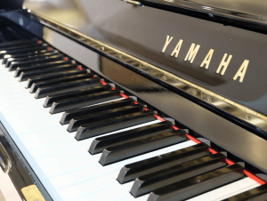 YAMAHA YUX