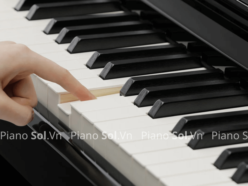 REVIEW CÔNG NGHỆ BÀN PHÍM PIANO ĐIỆN ROLAND