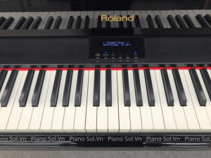 ROLAND RG-3F PE