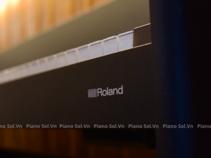 ROLAND F107