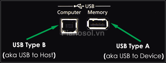USB type A và Tybe B