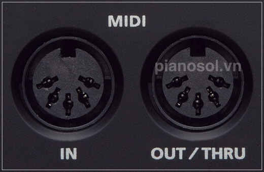 Midi in/out
