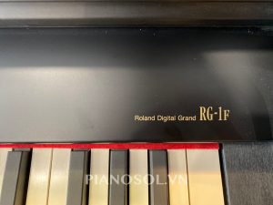 ROLAND RG-1F