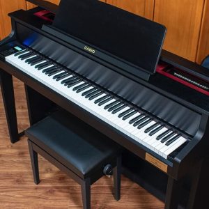 CASIO GP-300