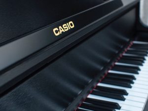CASIO GP-300