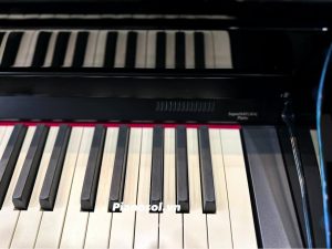 ROLAND HP-506PE