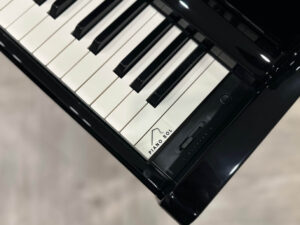 KAWAI CA901 EP