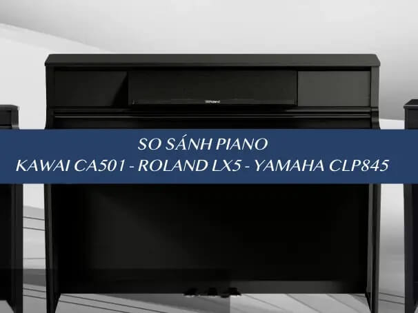 SO SÁNH KAWAI CA501, ROLAND LX5, YAMAHA CLP845