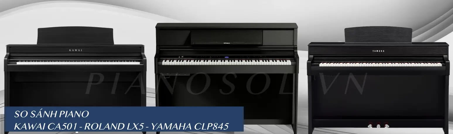 So sánh Kawai CA501, Roland LX5, Yamaha CLP845