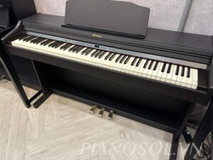 ROLAND RP501