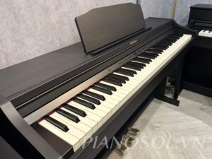 ROLAND RP501