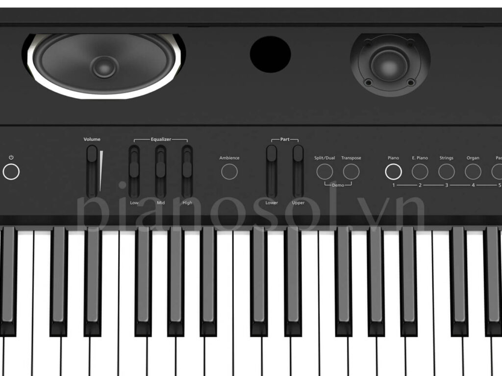 Loa Roland FP90X