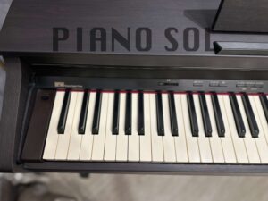 ROLAND HP503