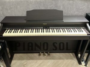 ROLAND HP503