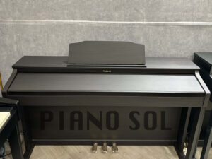 ROLAND HP503