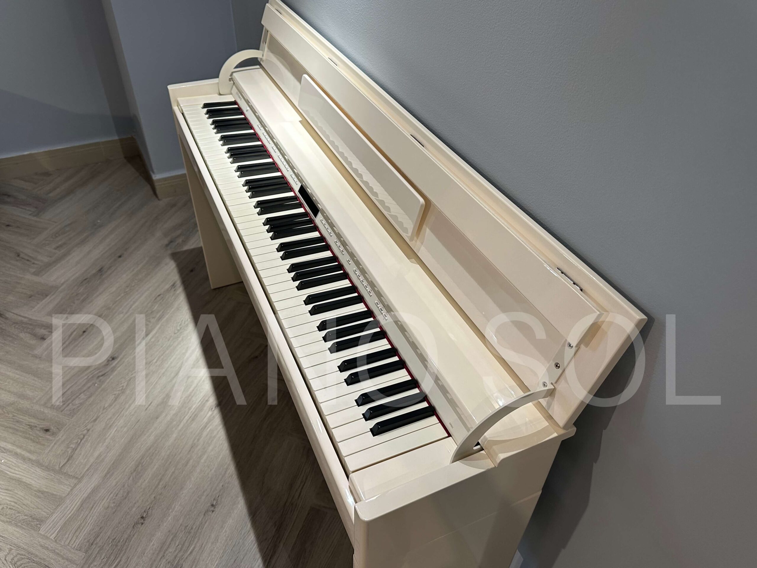 ROLAND DP-603PW