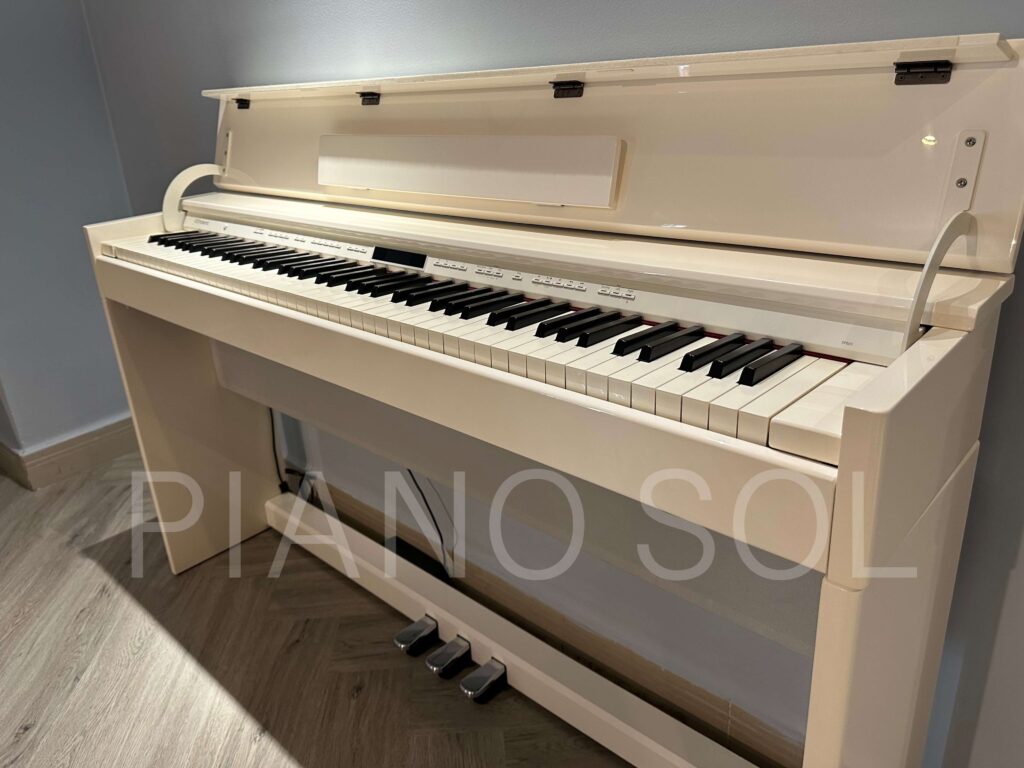 Roland DP603