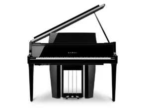 KAWAI NV12