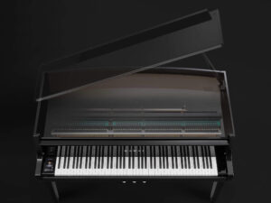 KAWAI NV12
