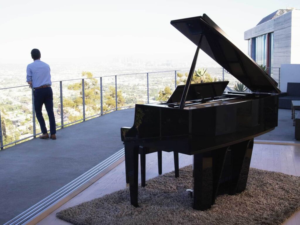 Kawai NV12