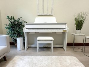 CASIO GP-310