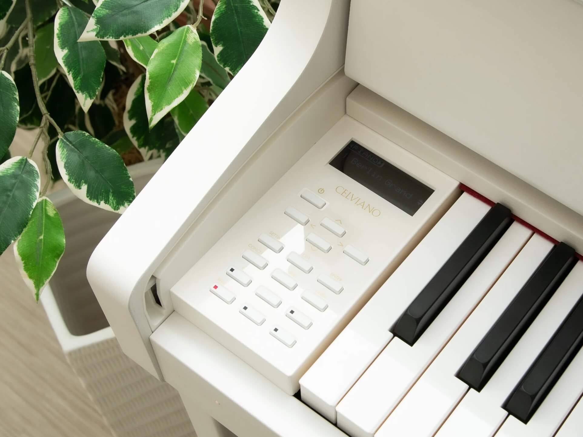 CASIO GP-310